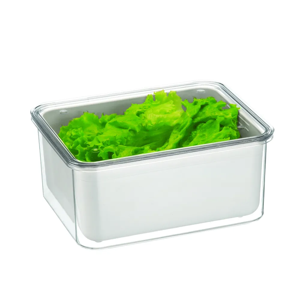 ORGANIZADOR + CANASTO GRANDE, APILABLE CON TAPA 2,7 LT