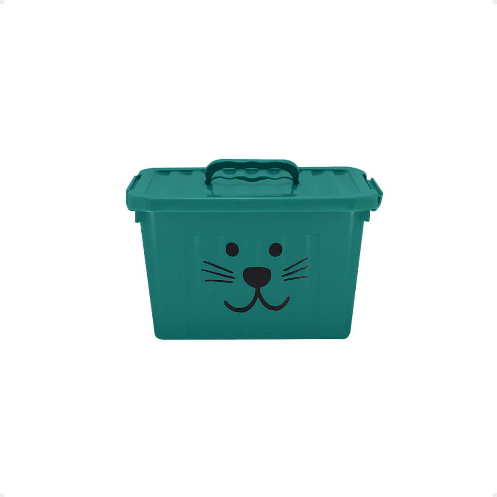 CAJA ORGANIZADORA CHICA COLOR C/ IMPRESIÓN 6 LT (23 X 19 X 15)